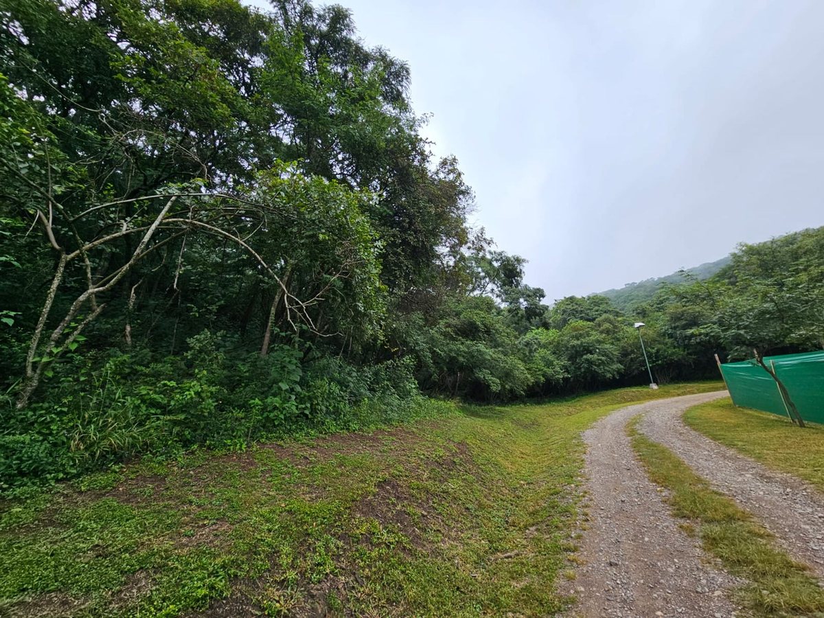 TERRENO VENTA VALLE ESCONDIDO 4992,6 M2 SALTA - foto 4