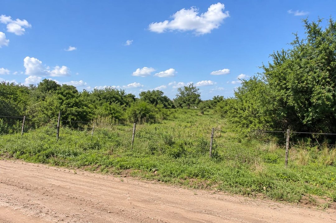 VENTA LOTE DE UNA HECTAREA EN LA GRANJA
