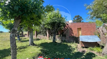 ¡Oportunidad única! Chacra de 5 hectáreas