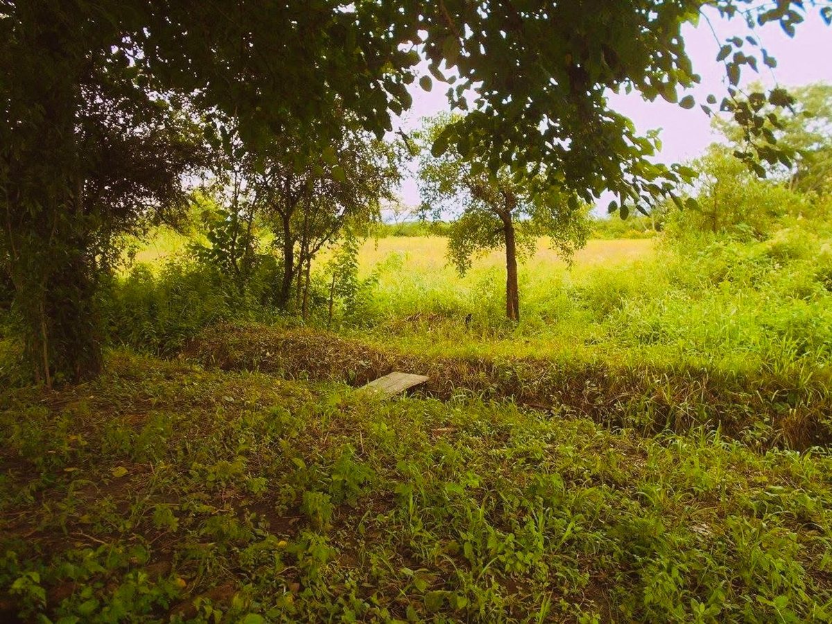 TERRENO VENTA CHICOANA FINCA BELLA VISTA - foto 3
