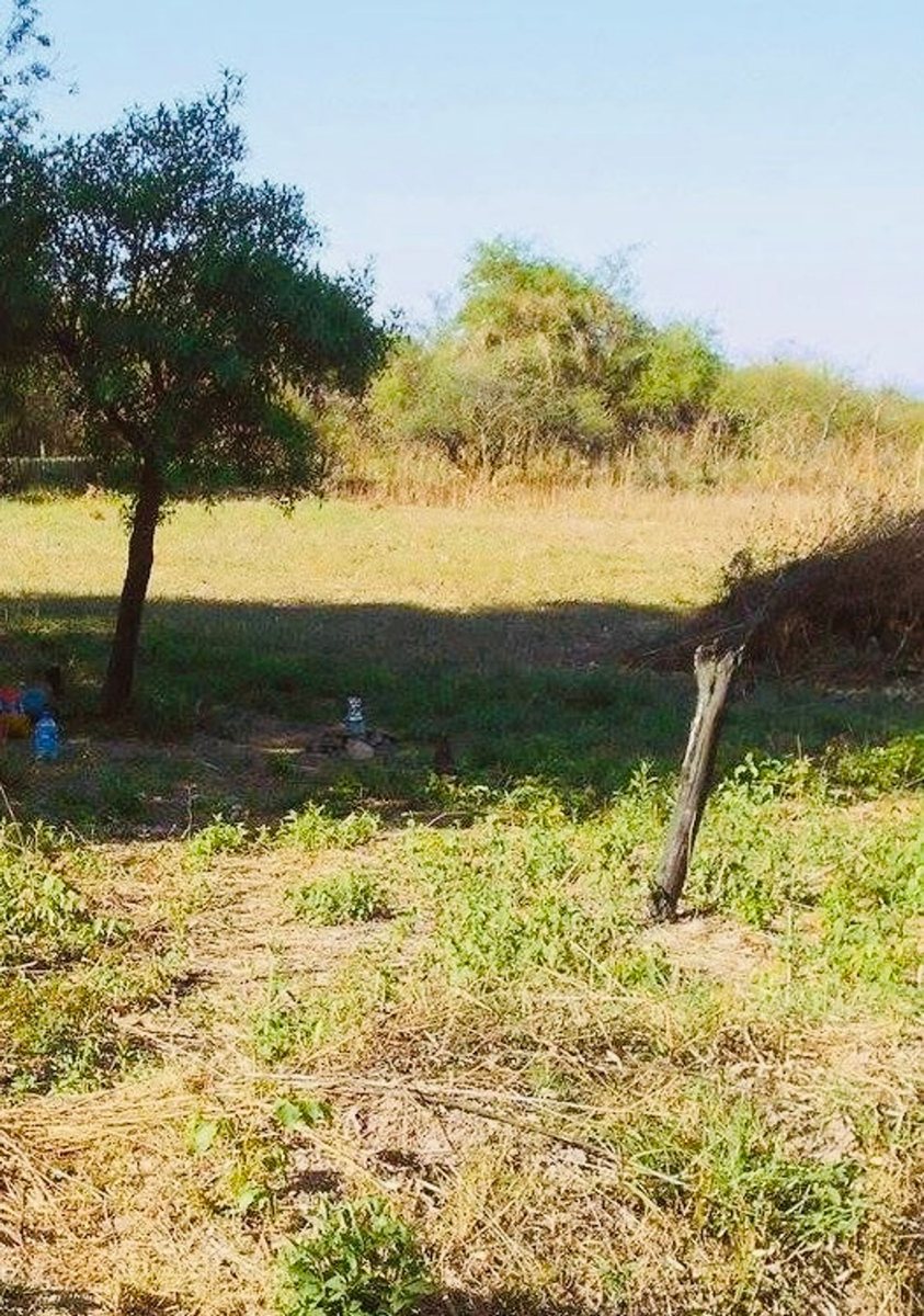 TERRENO VENTA CHICOANA FINCA BELLA VISTA - foto 4