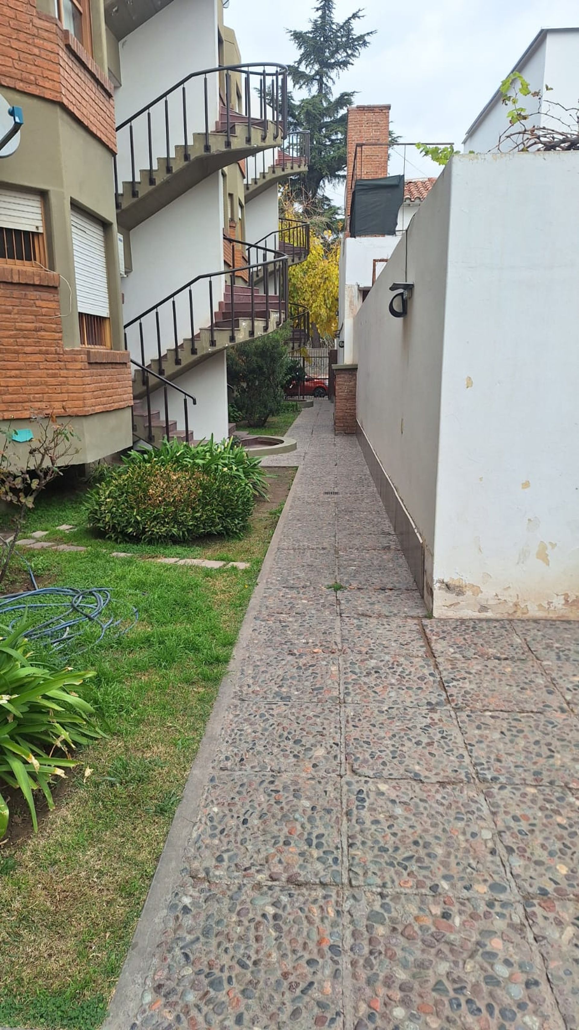 Imagen 7