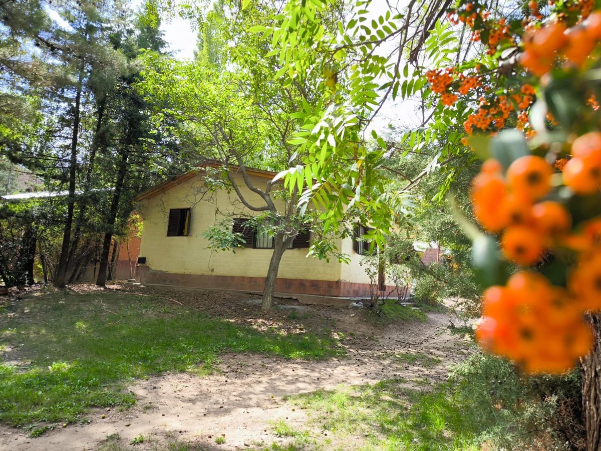 Foto 16 — HERMOSA CASA AMOBLADA EN LAS CARDITAS POTRERILLOS