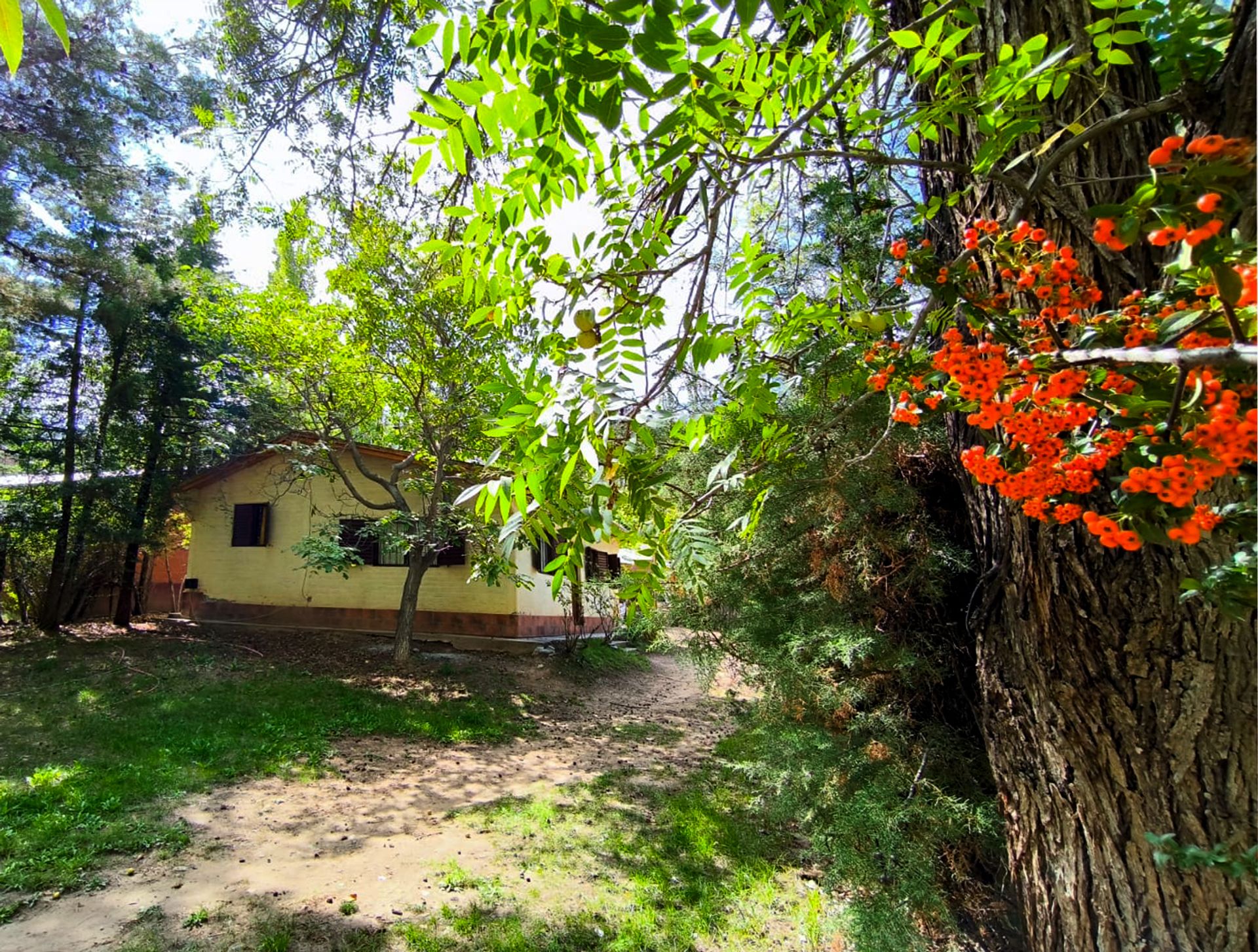 Foto 29 — HERMOSA CASA AMOBLADA EN LAS CARDITAS POTRERILLOS