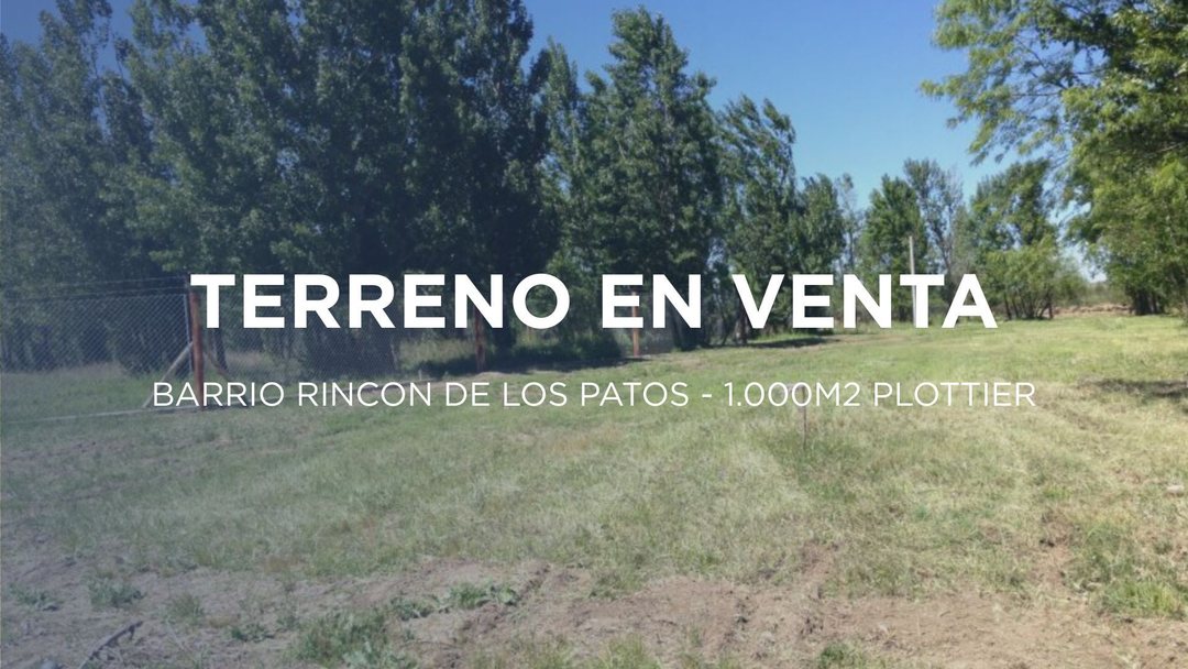 TERRENO EN VENTA EN RINCÓN DE LOS PATOS PLOTTIER
