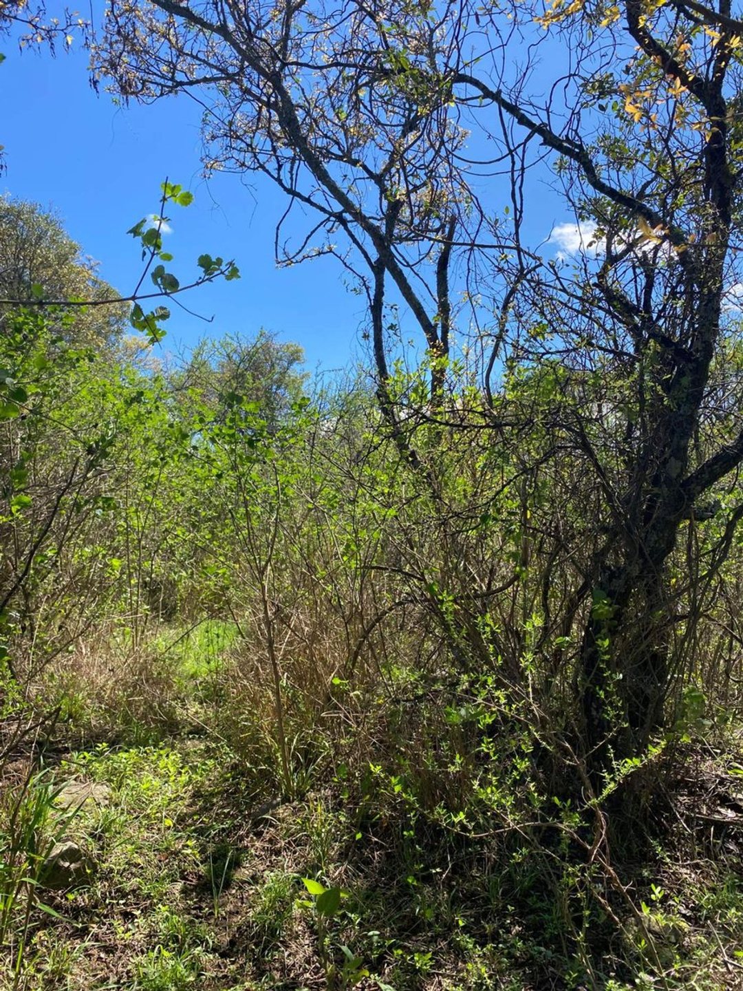 LOTE 875m2 B° SERRANIAS - RIO CEBALLOS C/ESCRITURA