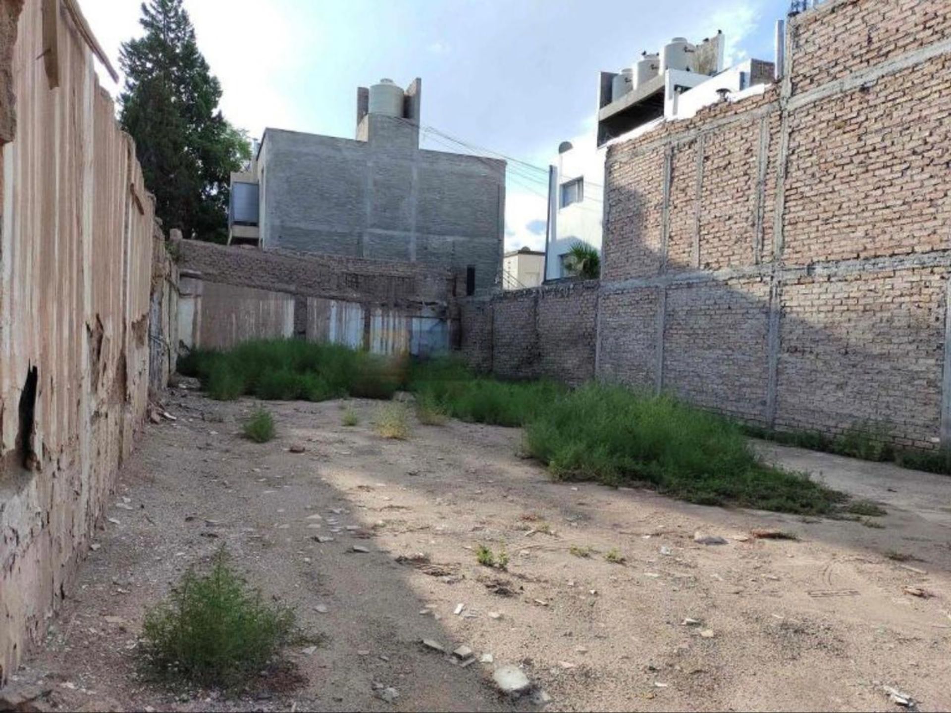Imagen 5