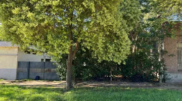 Terreno en Lehmann · foto 4