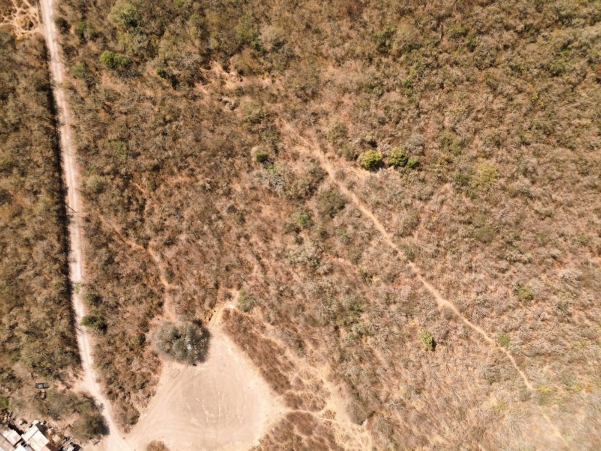 TERRENO 2 HECTAREAS VENTA ACCESO A SALTA RUTA N°9 - foto 5