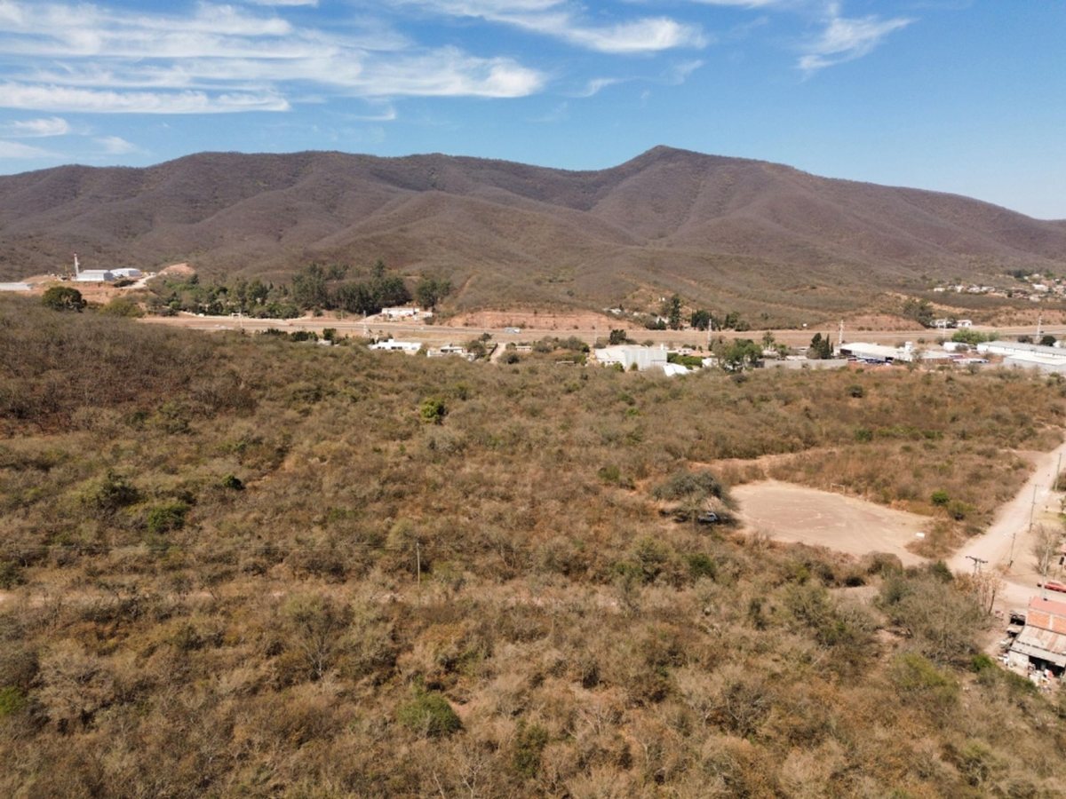 TERRENO 2 HECTAREAS VENTA ACCESO A SALTA RUTA N°9 - foto 6