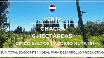 VENTA CHACRA 6 HAS - CINCO SALTOS