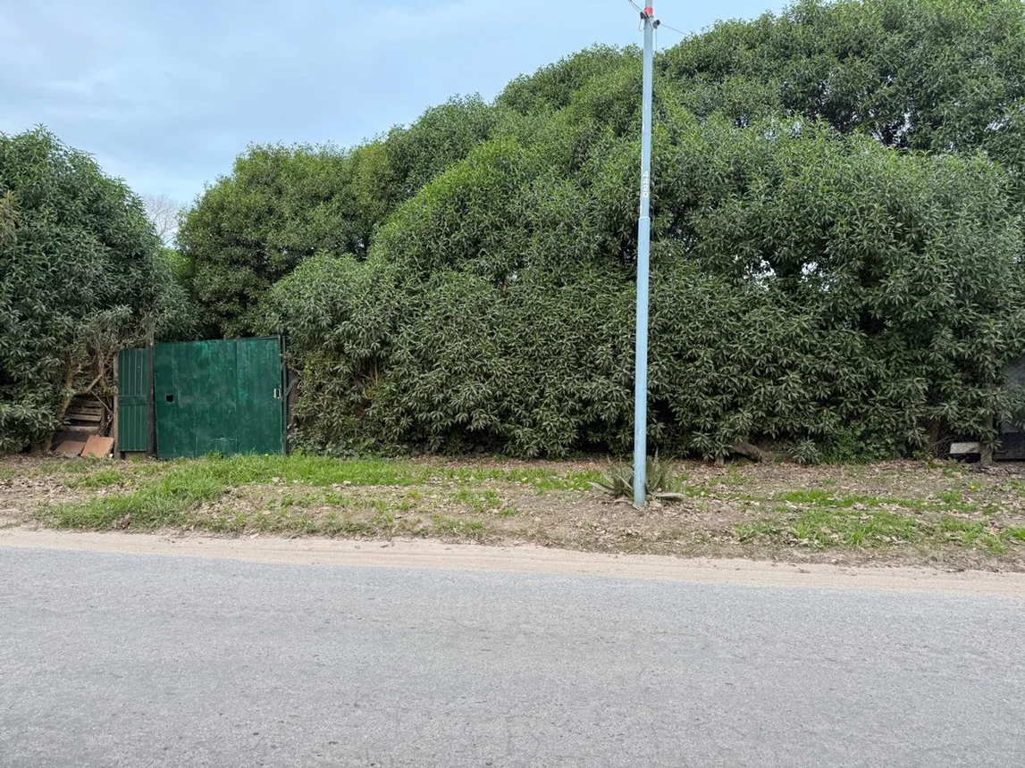 Casa en venta en Mar del Plata, foto 3
