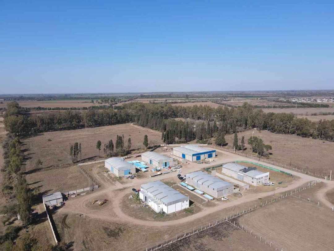 VENTA CAMPO 16HAS  FERREYRA FACTIBILIDAD INDUSTRIA