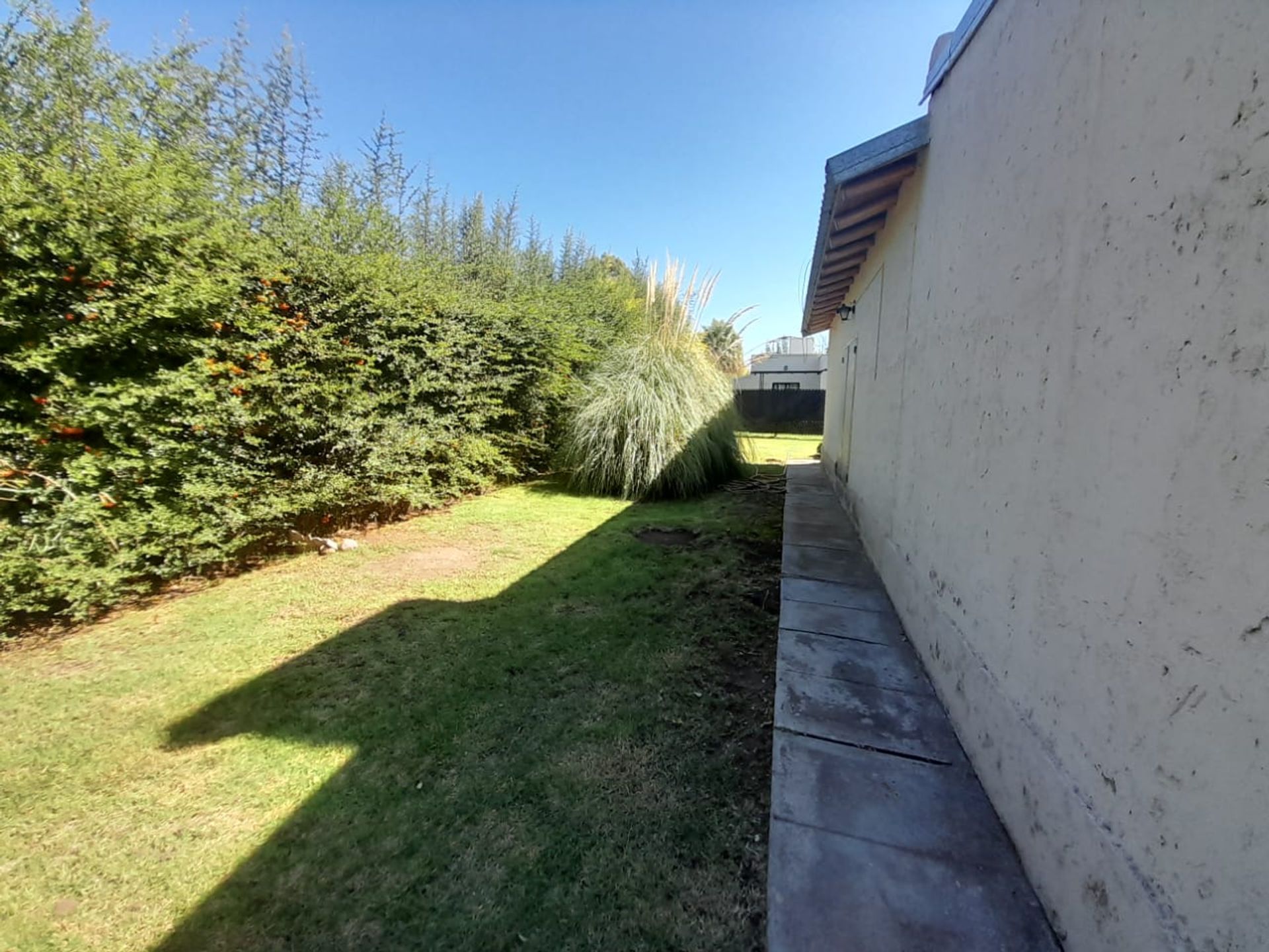 Imagen 27