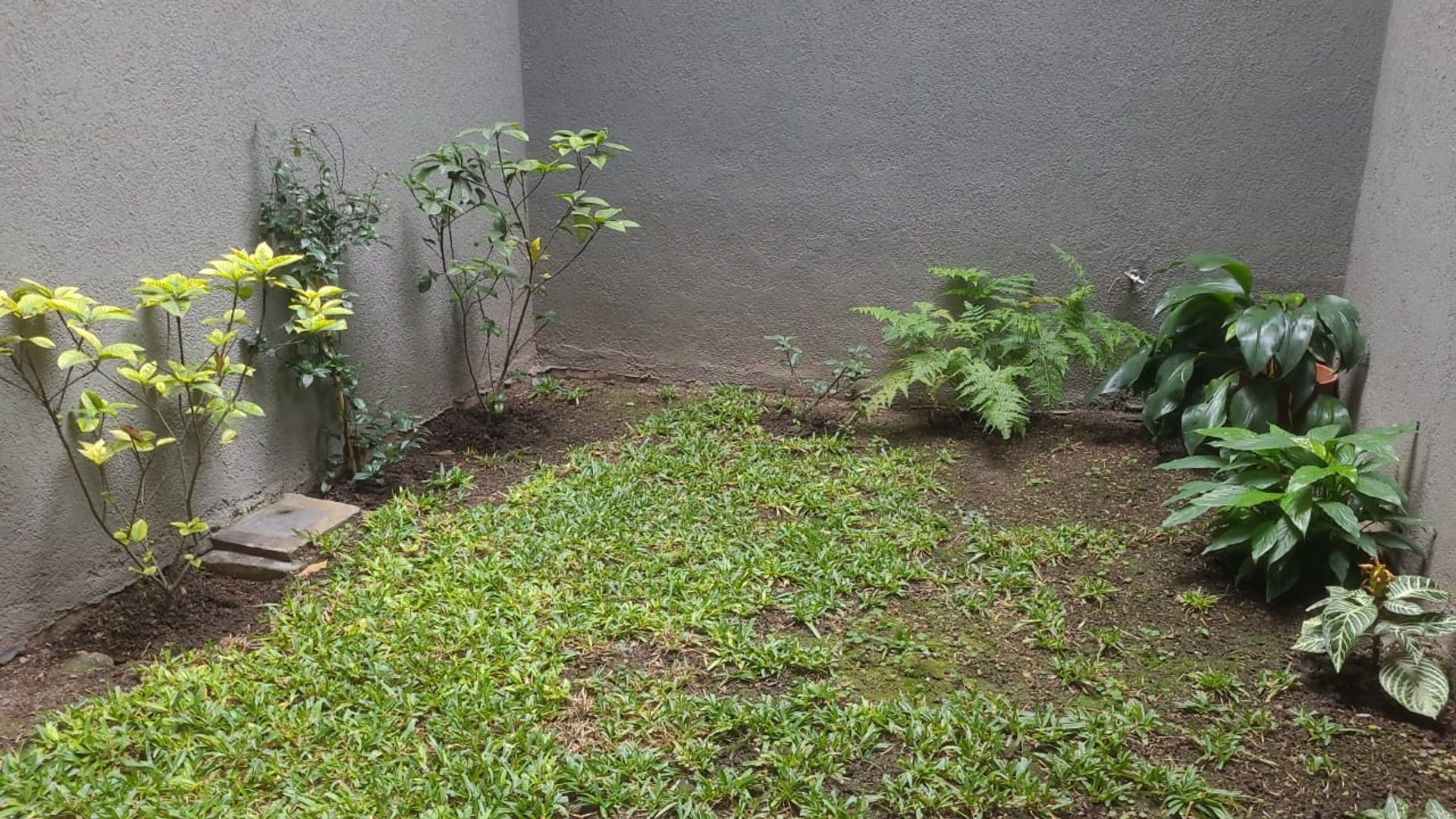 OFICINAS EN ALQUILER EN PLANTA BAJA MACROCENTRO - foto 11