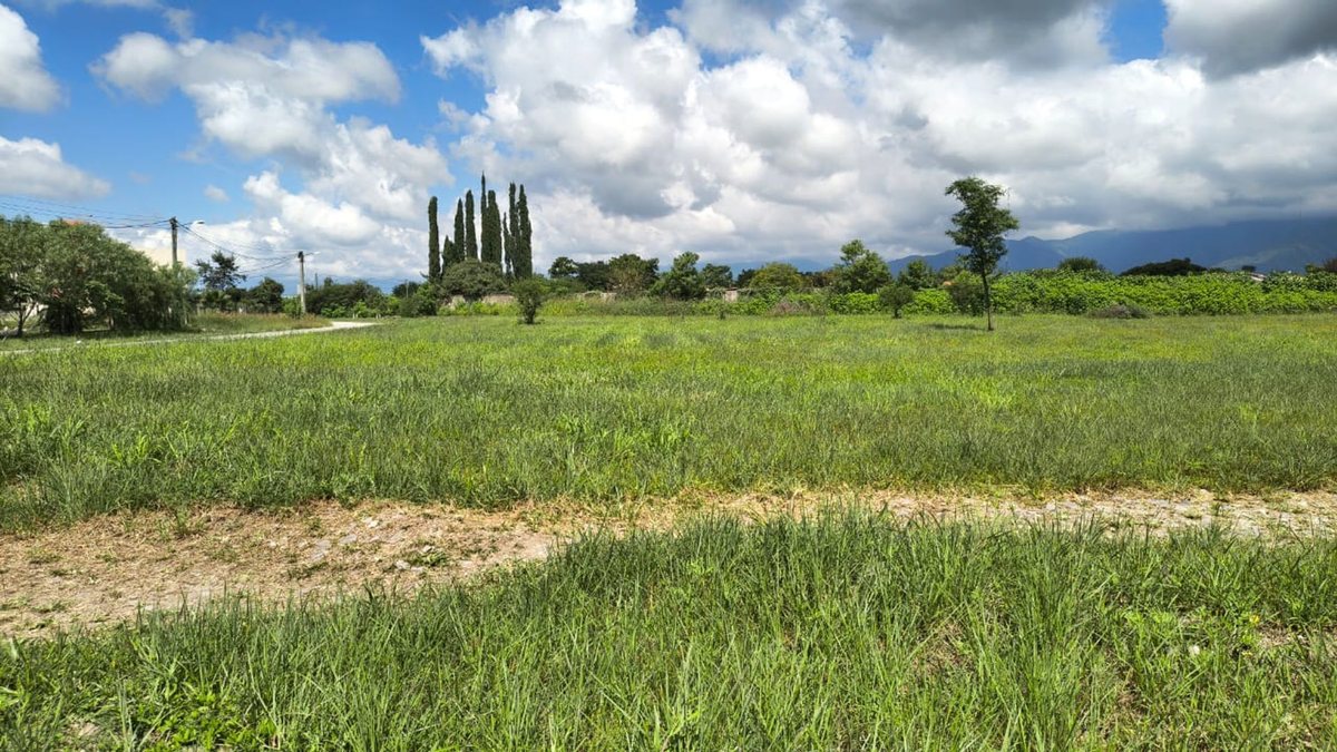 TERRENO VENTA B° LOS ROBLES LA MERCED DEL ENCON - foto 5
