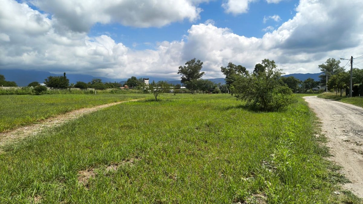 TERRENO VENTA B° LOS ROBLES LA MERCED DEL ENCON - foto 9