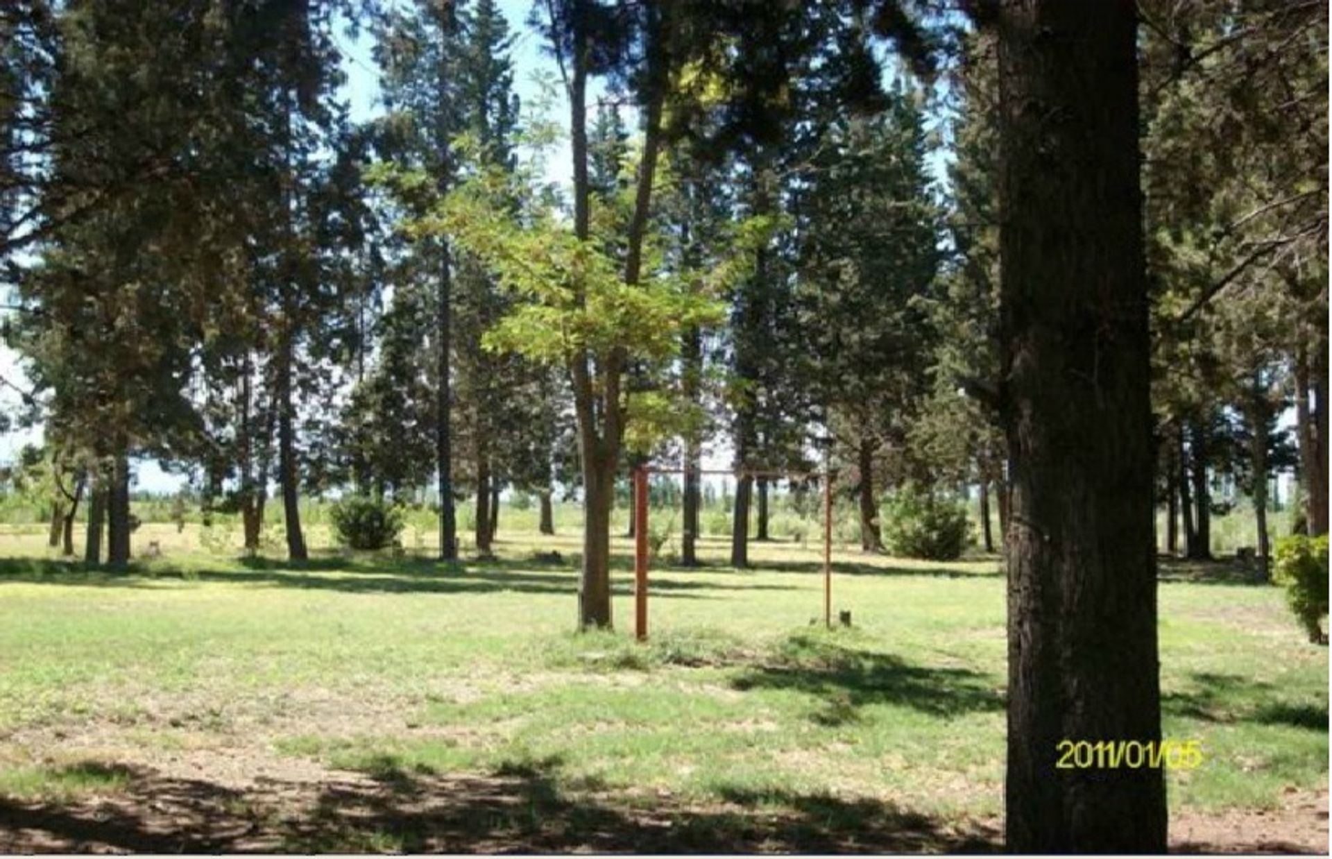 Imagen 6