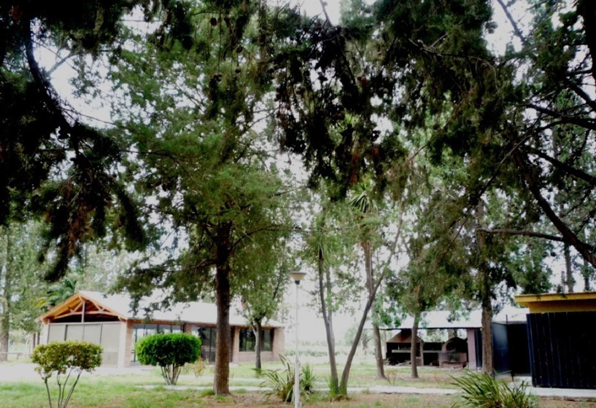 Imagen 11