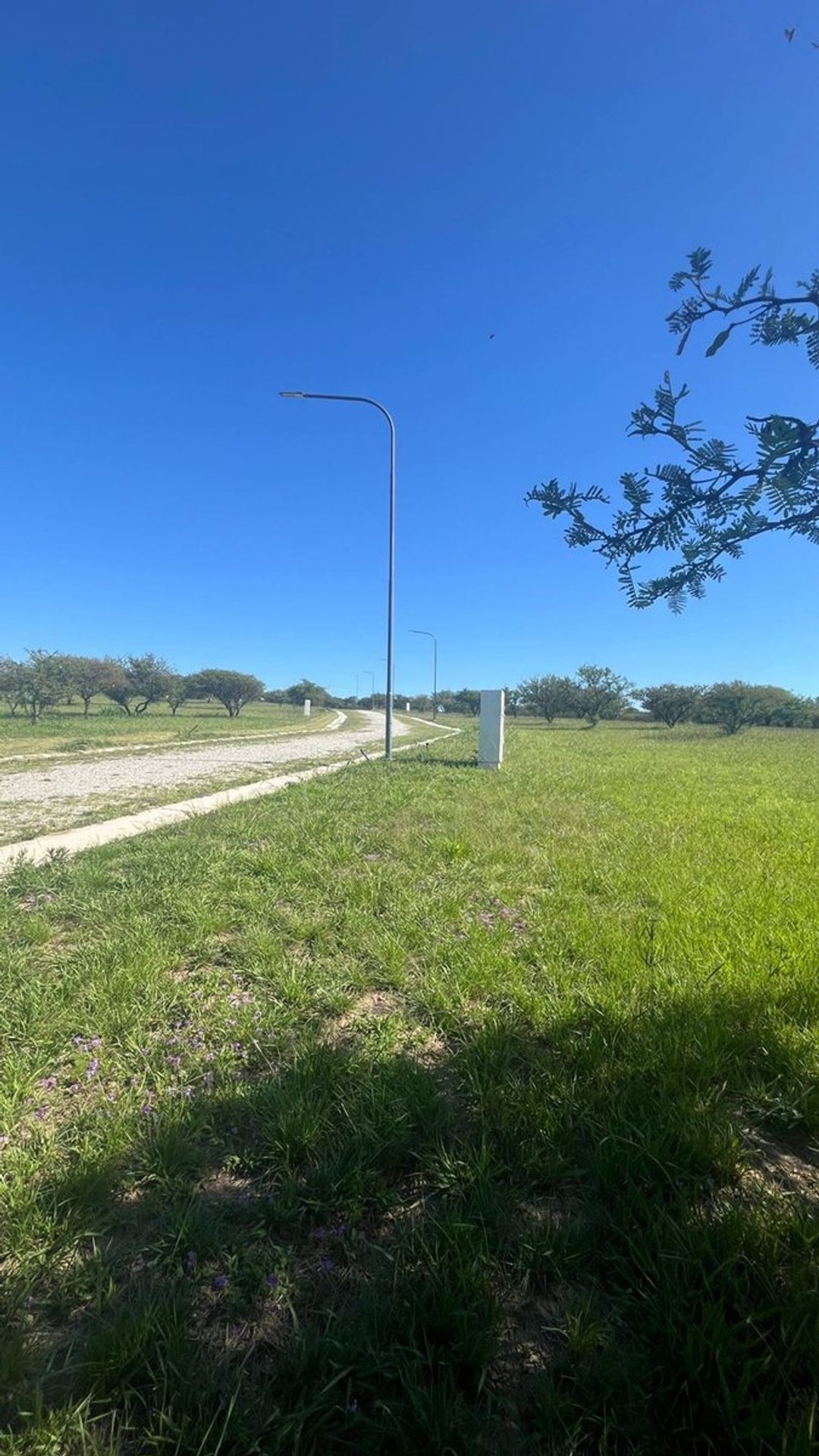 VENTA DE 24 LOTES EN ALTA GRACIA