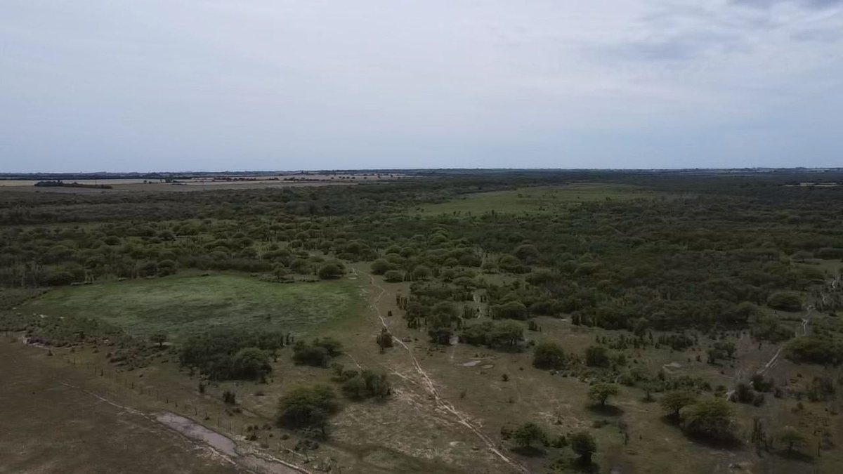 Foto 8 — VENTA/CAMPO GANADERO/ ZONA RURAL/ PILAR/ SANTA FE