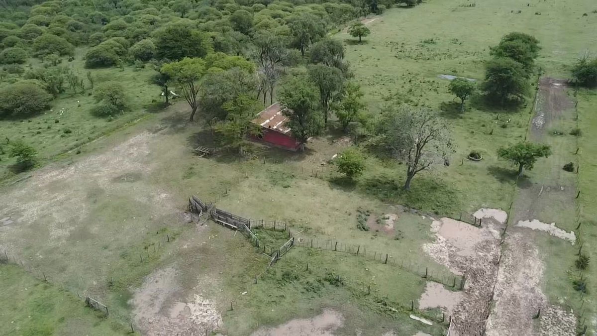 Foto 5 — VENTA/CAMPO GANADERO/ ZONA RURAL/ PILAR/ SANTA FE
