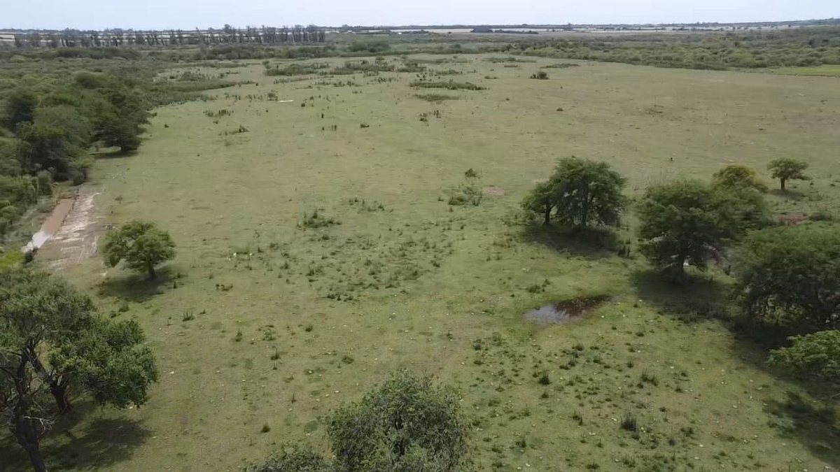 Foto 9 — VENTA/CAMPO GANADERO/ ZONA RURAL/ PILAR/ SANTA FE
