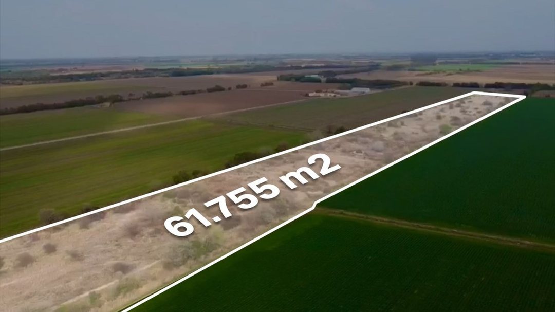 VENTA LOTE 61755 MTRS ESTACION FERREYRA  RUTA 9