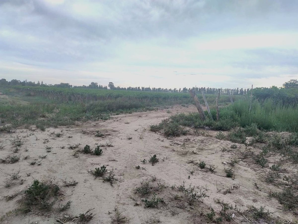 Imagen 8