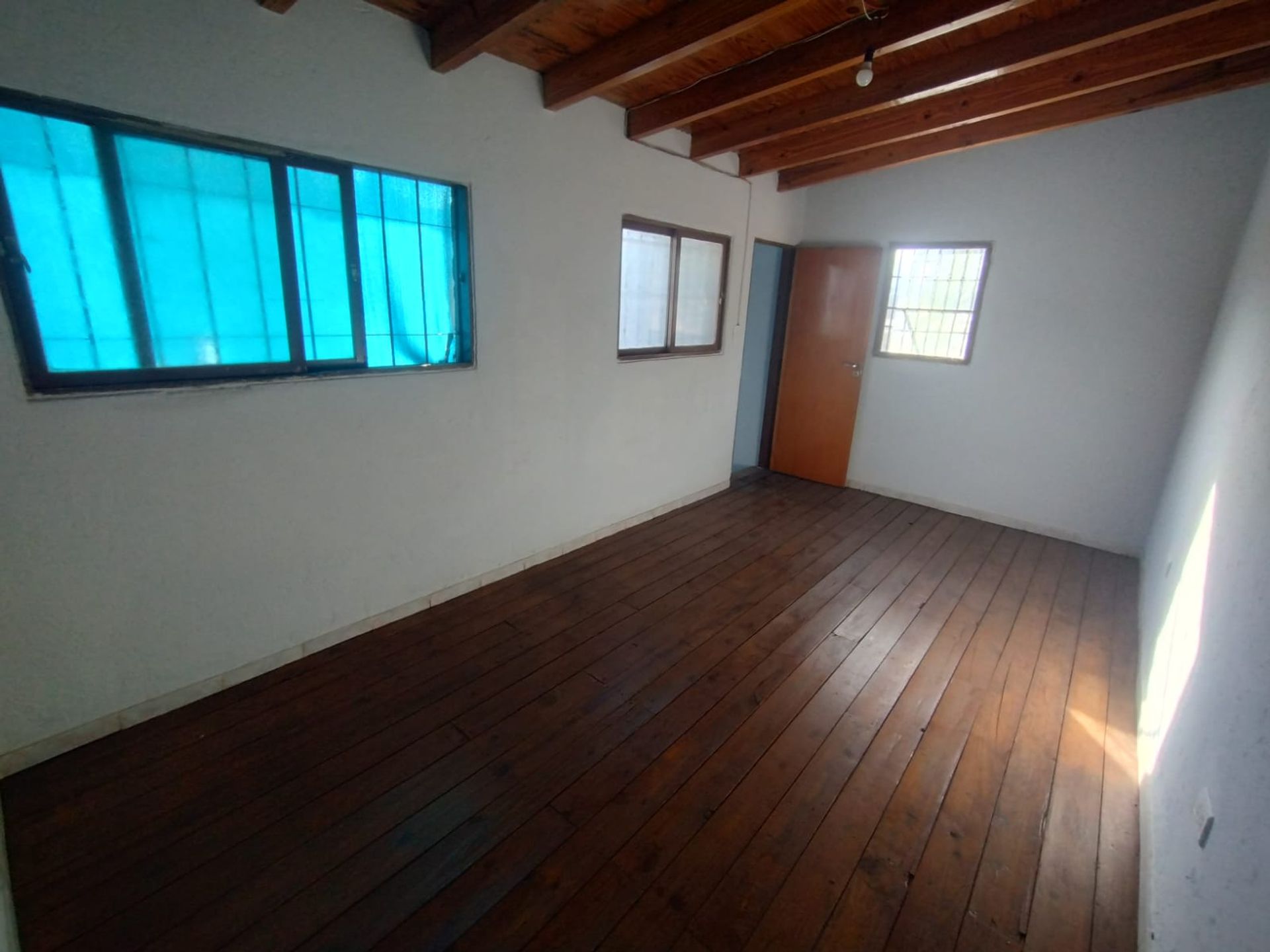 Imagen 7
