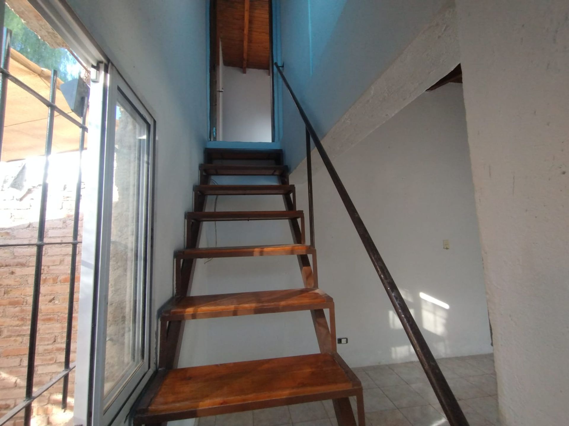Imagen 5
