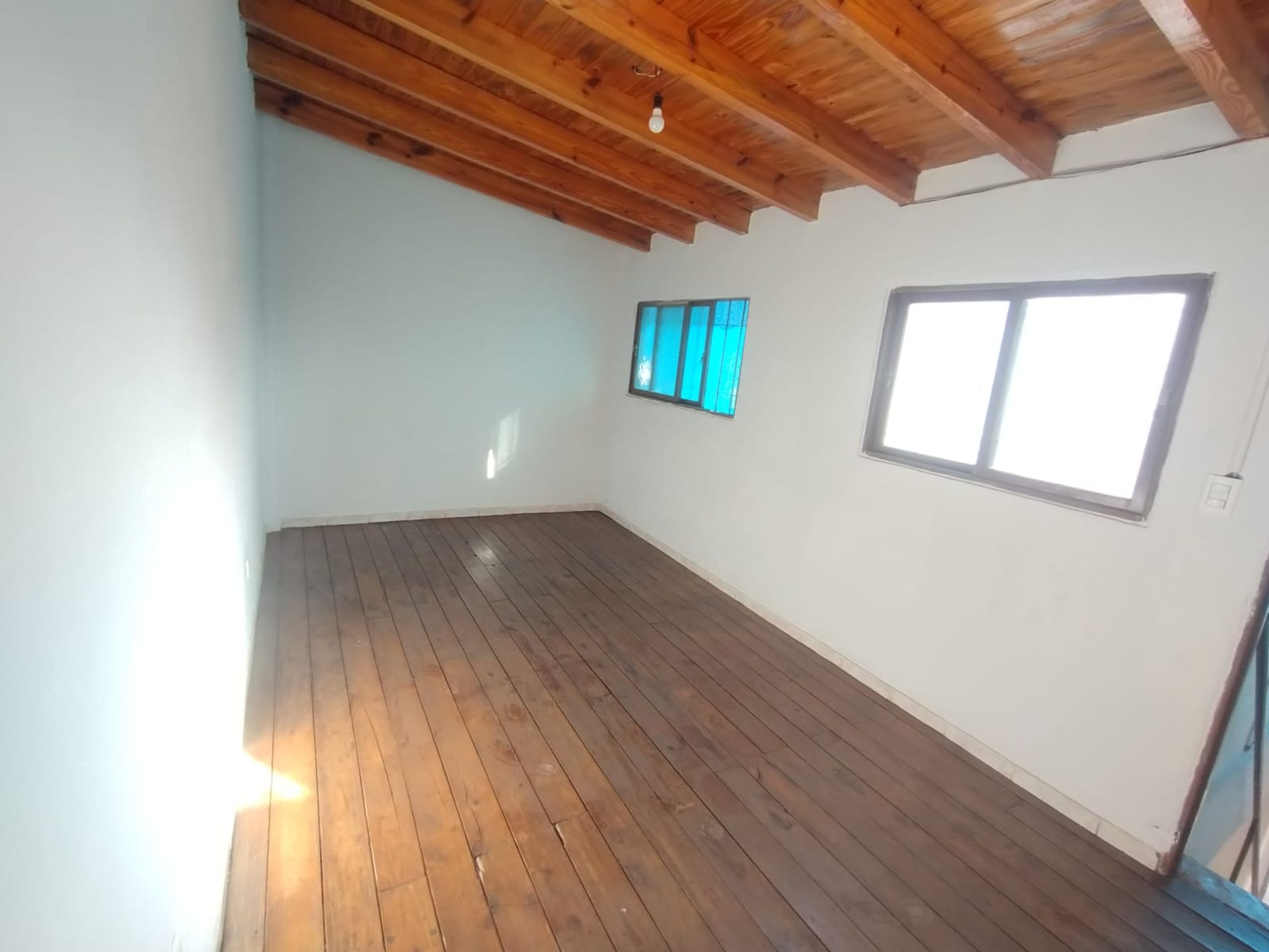 Imagen 6