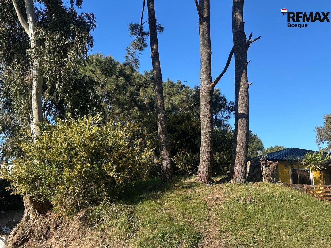 Lote en venta Ostende excelente ubicación