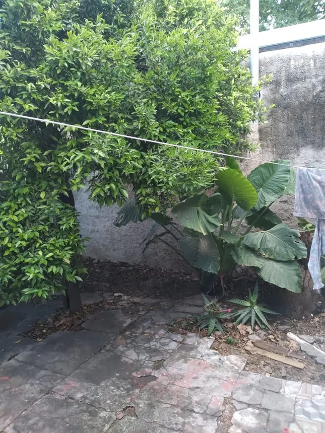 PH de 3 ambientes en venta en Rosario, Matienzo 600, foto 2