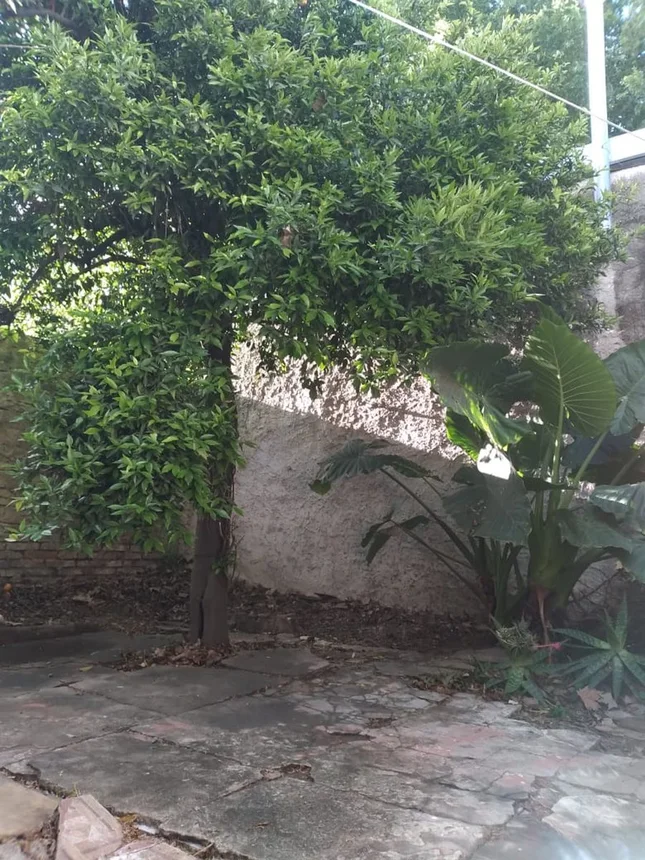 PH de 3 ambientes en venta en Rosario, Matienzo 600, foto 5