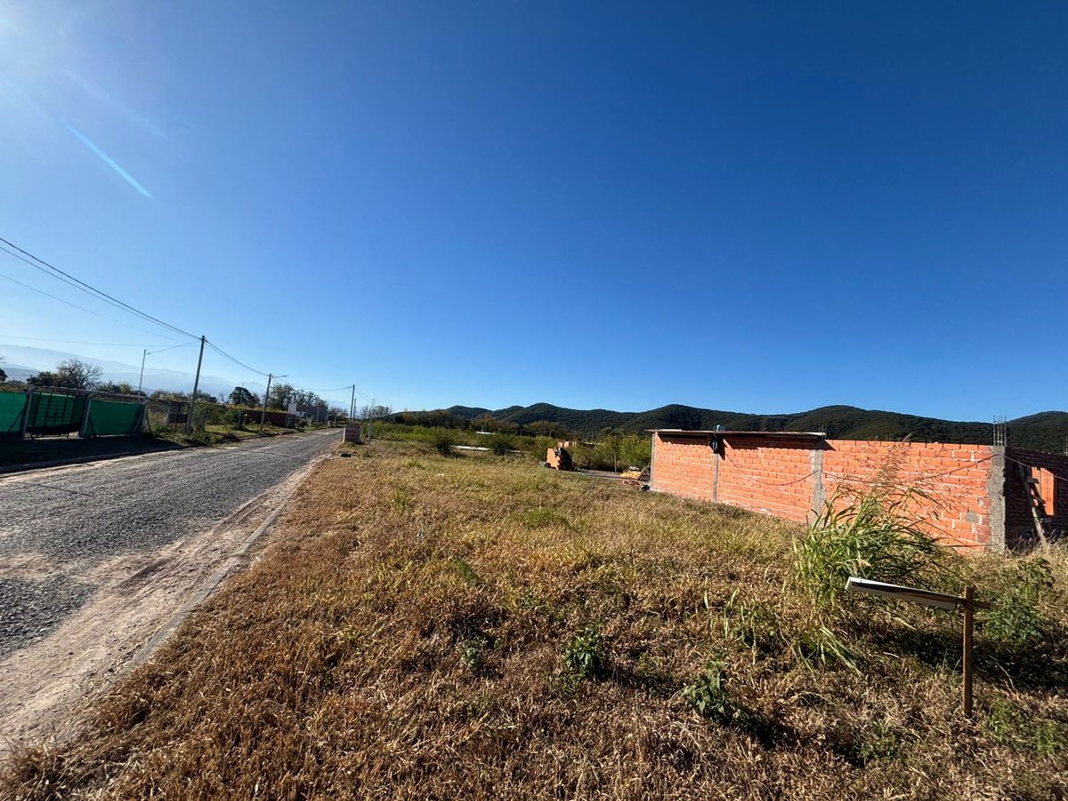 TERRENO VENTA LA CELESTINA CERRILLOS 340 M2 - foto 6
