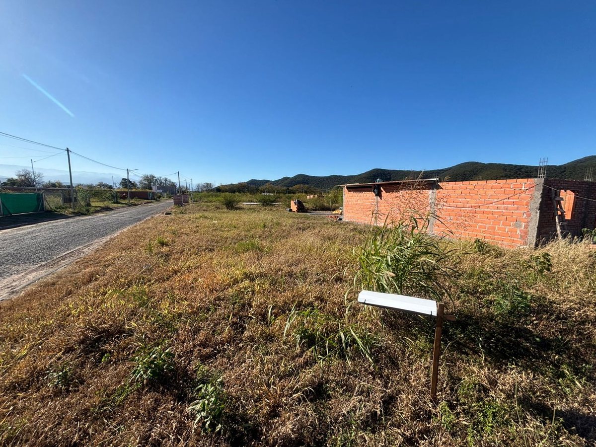 TERRENO VENTA LA CELESTINA CERRILLOS 340 M2 - foto 3