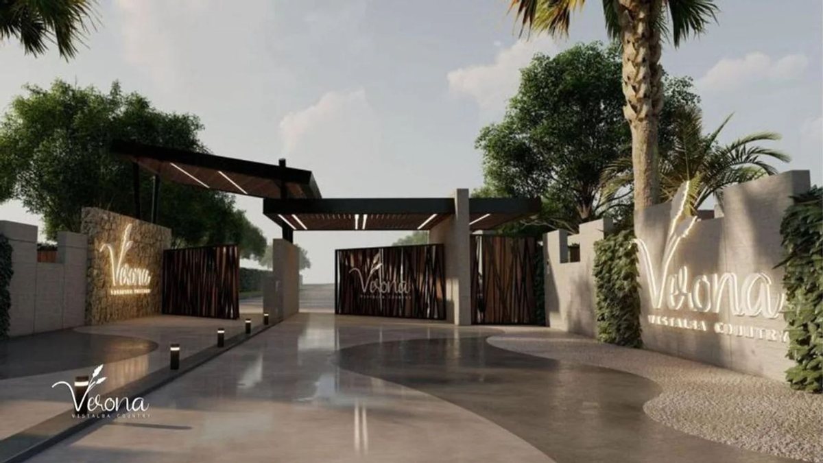 Imagen 11