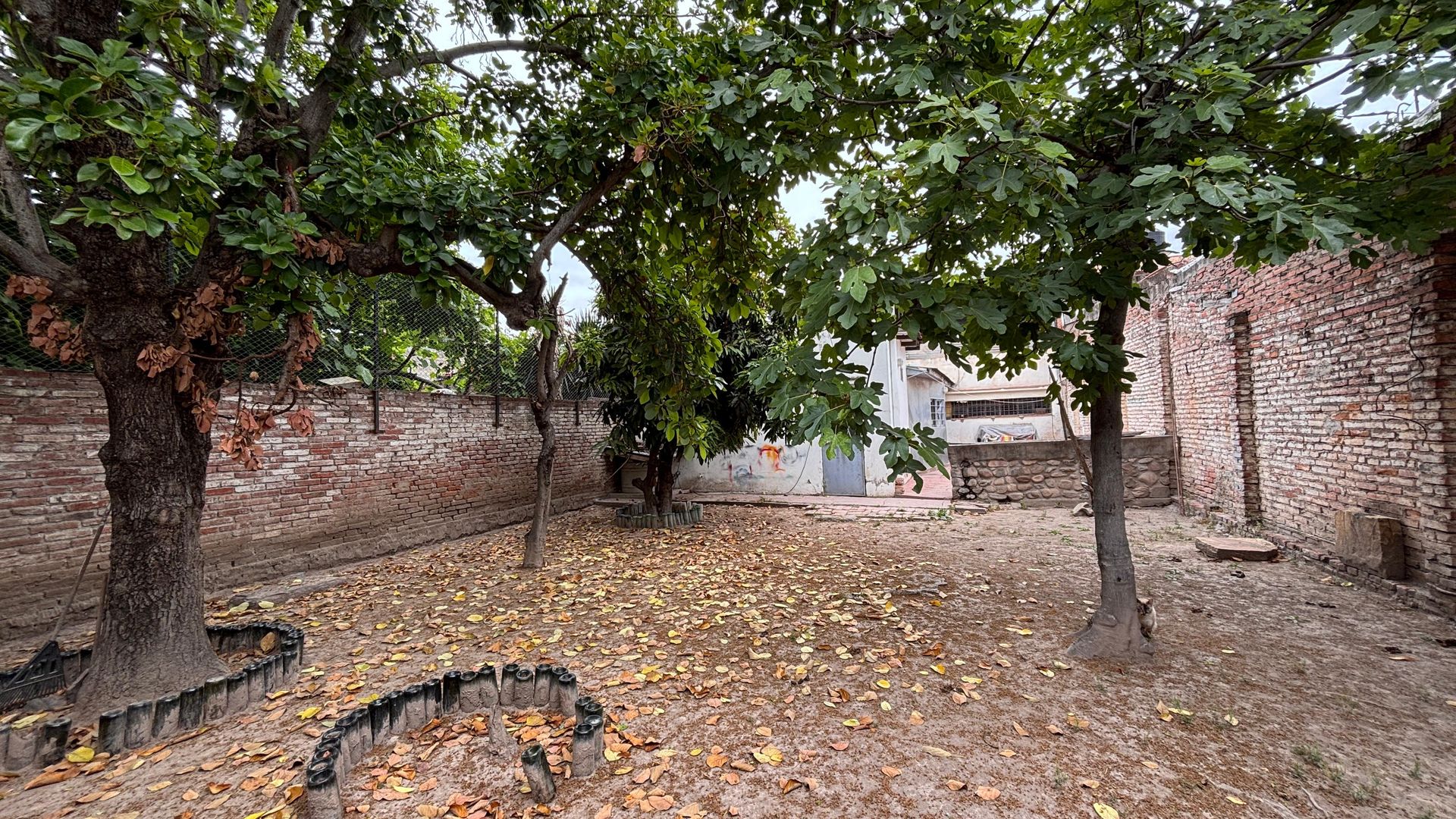 VENTA CASA 2 DORM + LOCAL COMERCIA APTA CREDITO - foto 4