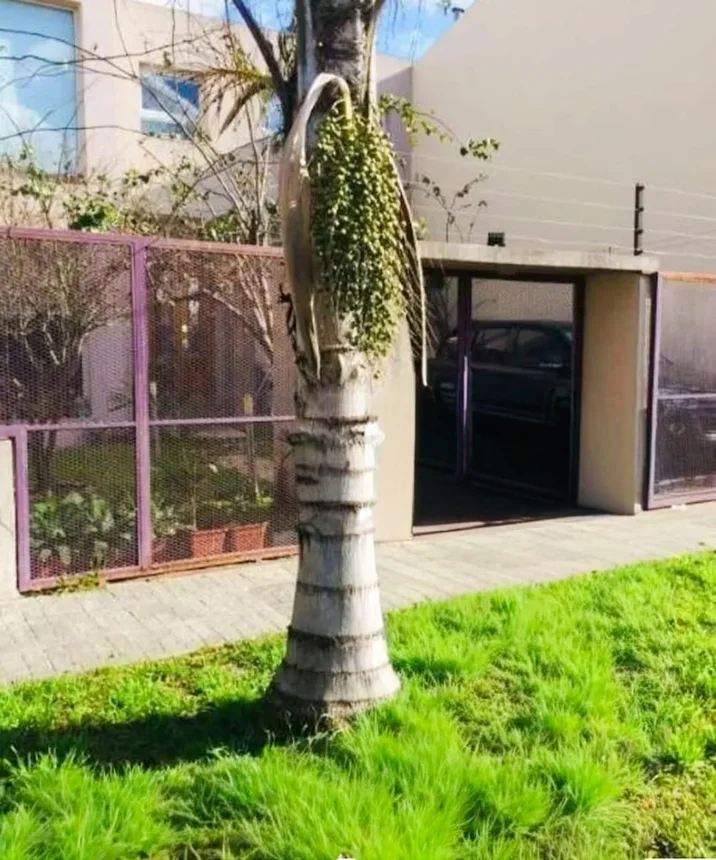 Casa de 6 ambientes en venta en Morón, Humaita 800, foto 2