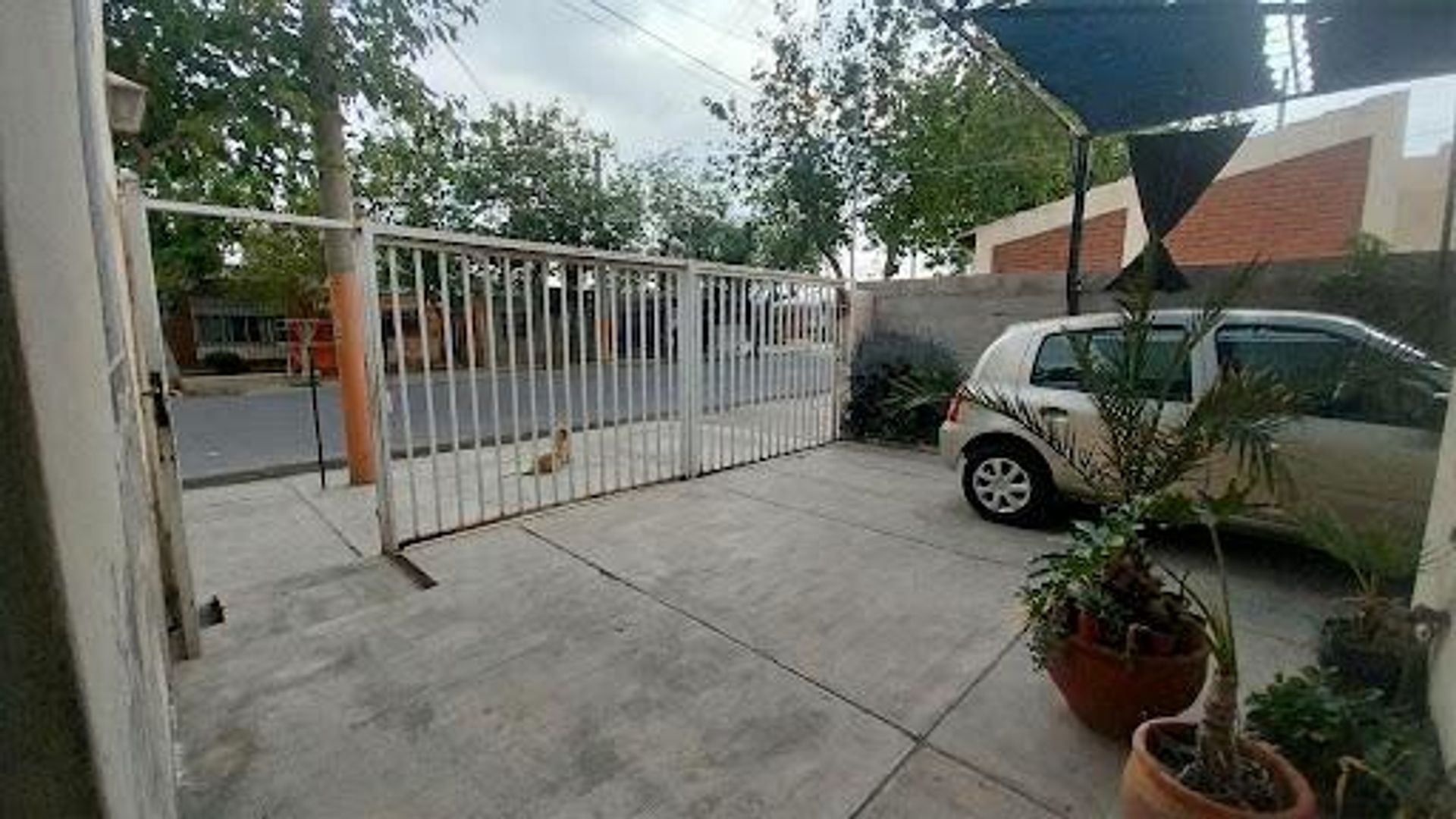 Imagen 5