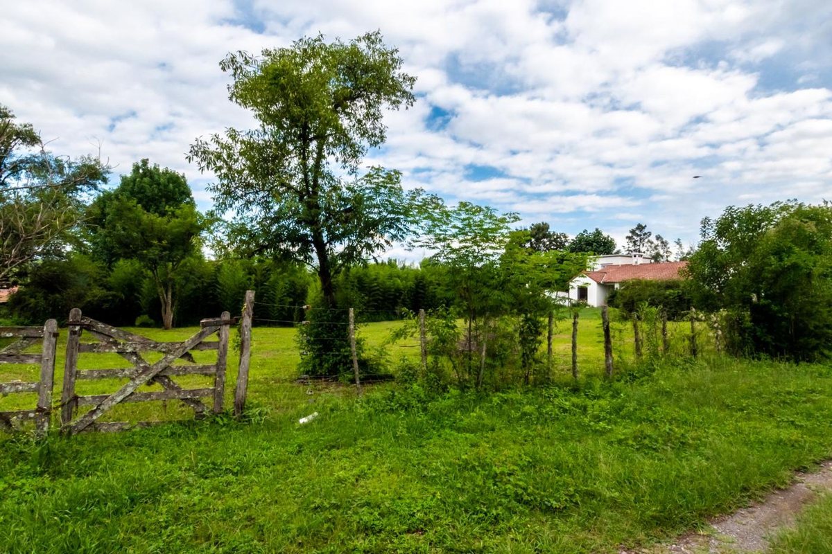 TERRENO VENTA SAN LORENZO 2150M2 - foto 4