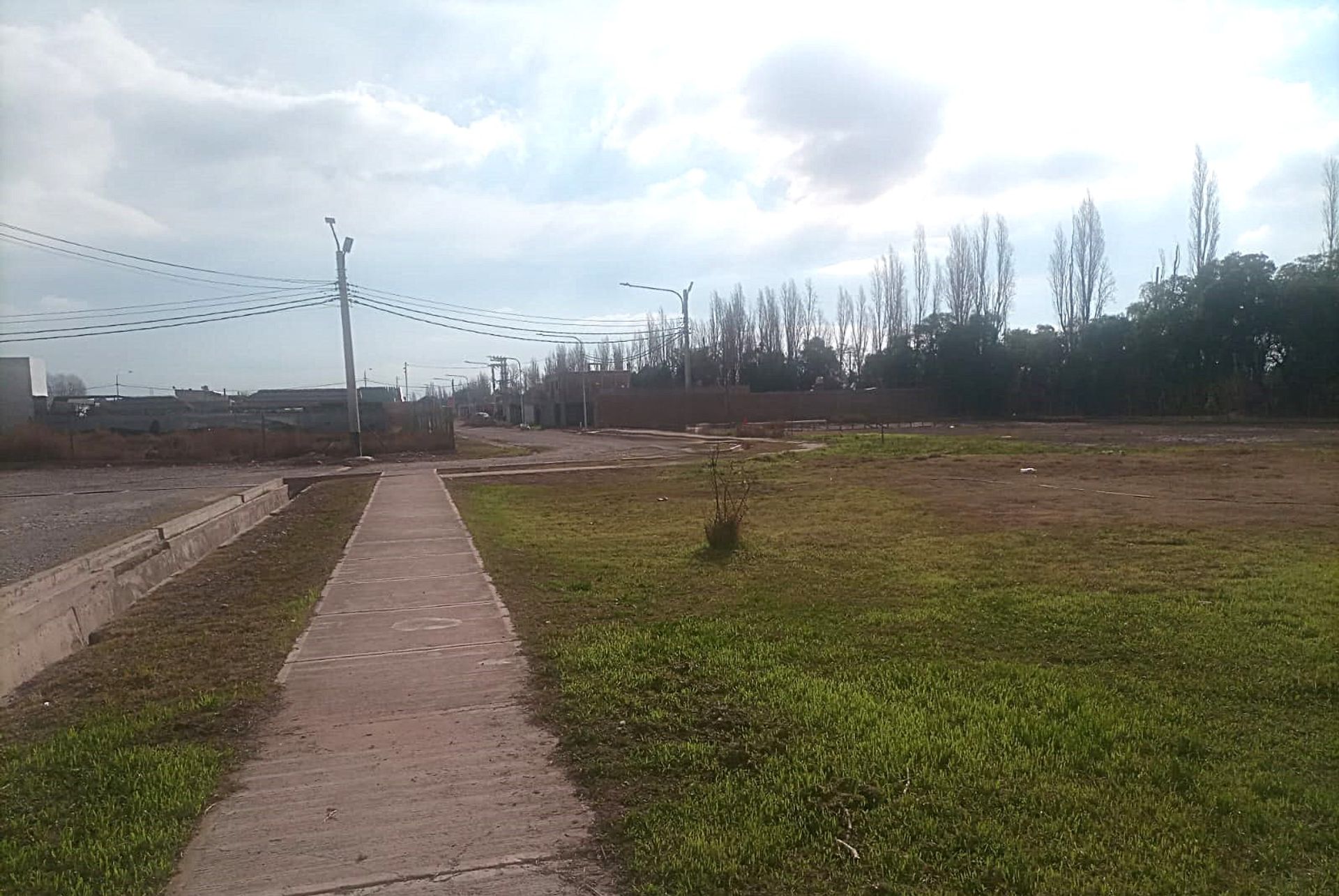 Imagen 13