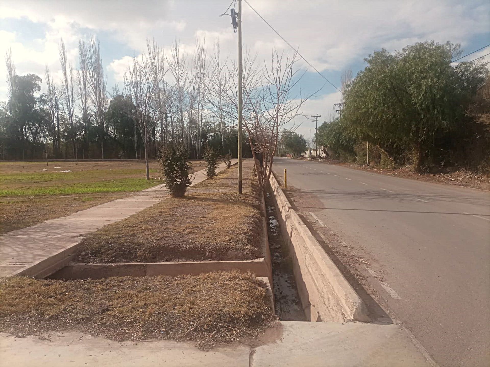 Imagen 14