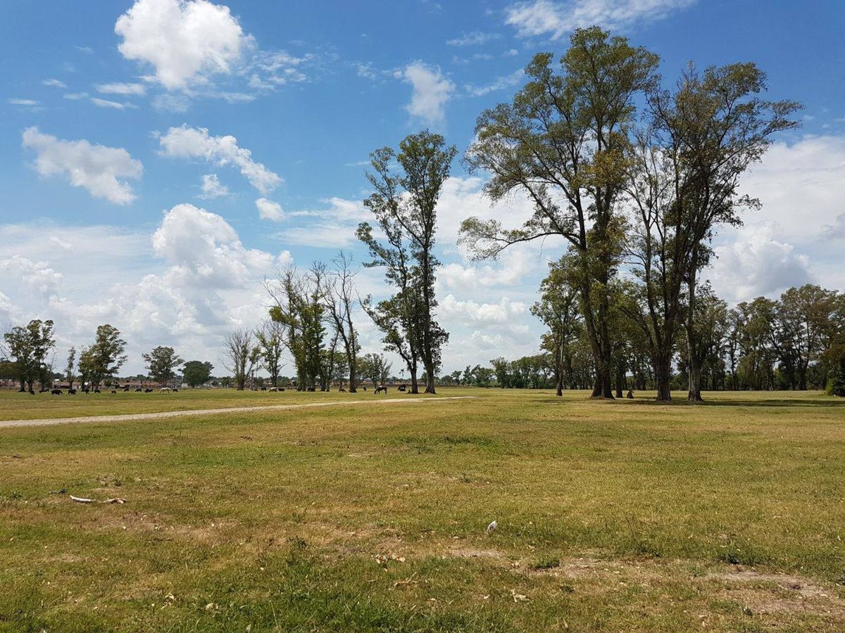 Foto 9 — LOTE 259m2 en VENTA   B° PARQUE DERQUI -FINANCIADO