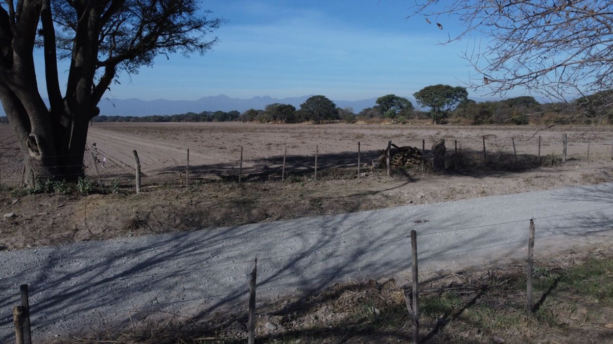 CAMPO VENTA FINCA EL TIPAL RP 76 CHICOANA - foto 14