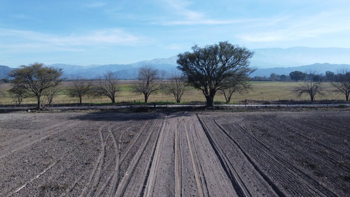 CAMPO VENTA FINCA EL TIPAL RP 76 CHICOANA - foto 10