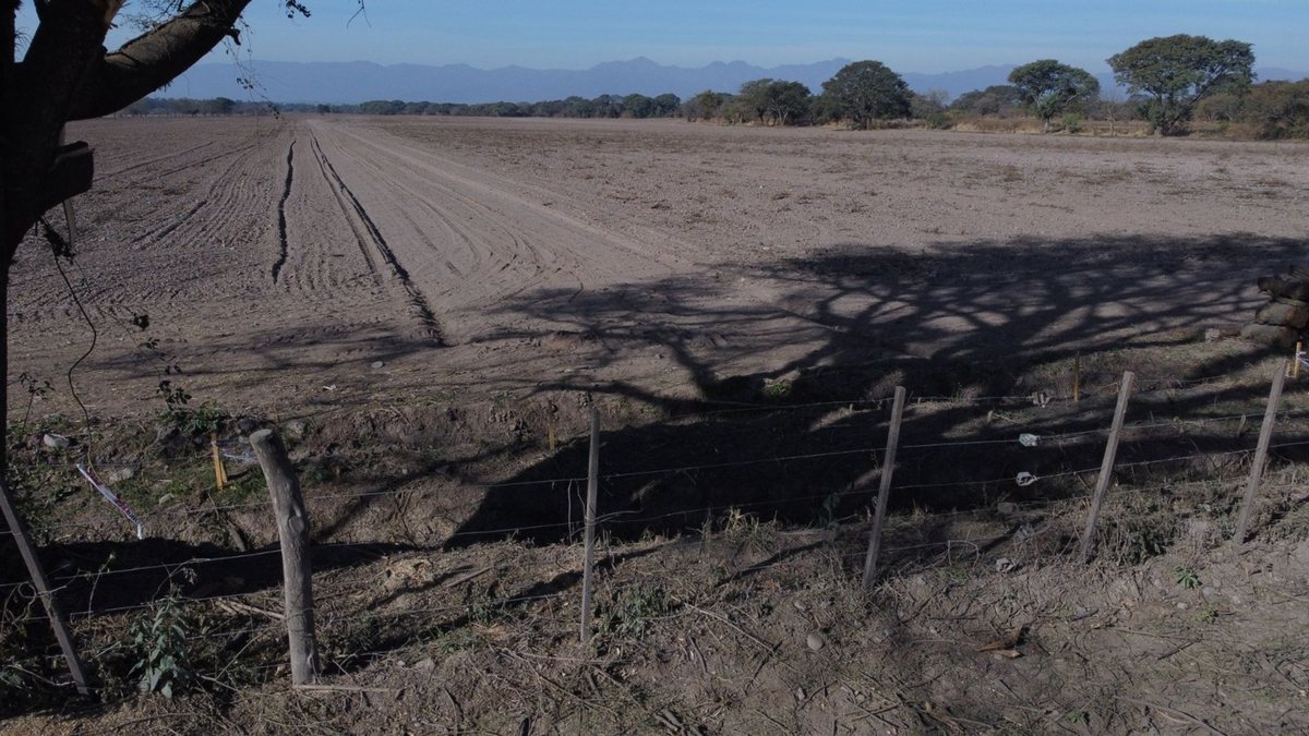 CAMPO VENTA FINCA EL TIPAL RP 76 CHICOANA - foto 8