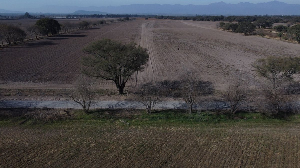 CAMPO VENTA FINCA EL TIPAL RP 76 CHICOANA - foto 11