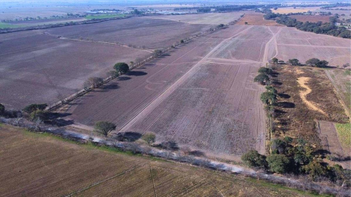 CAMPO VENTA FINCA EL TIPAL RP 76 CHICOANA - foto 5